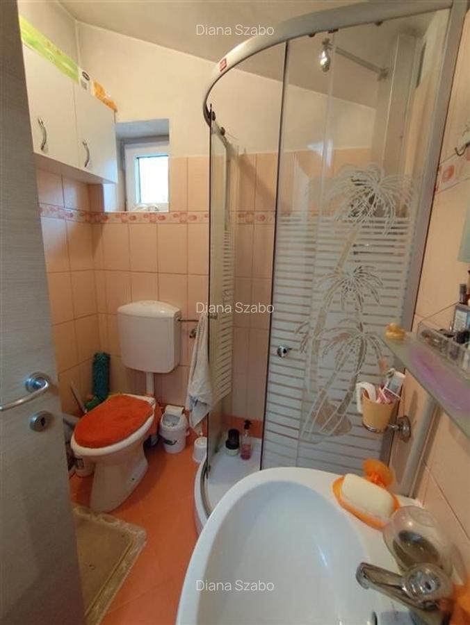 RECO Apartament la casa - Pta Tineretului - 6