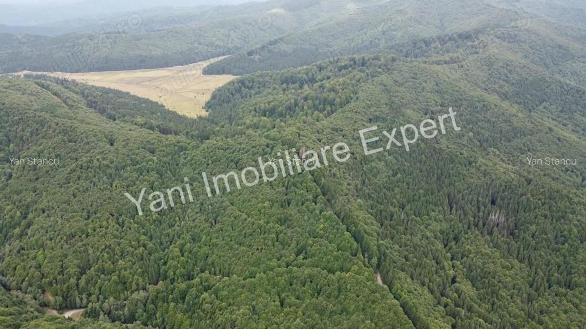 Teren de vanzare in apropiere de Transfagara?an ?i Valea Valsanului. - 8