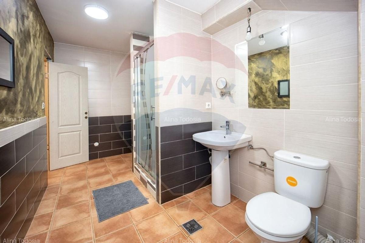 Casa individuala Bod - 14