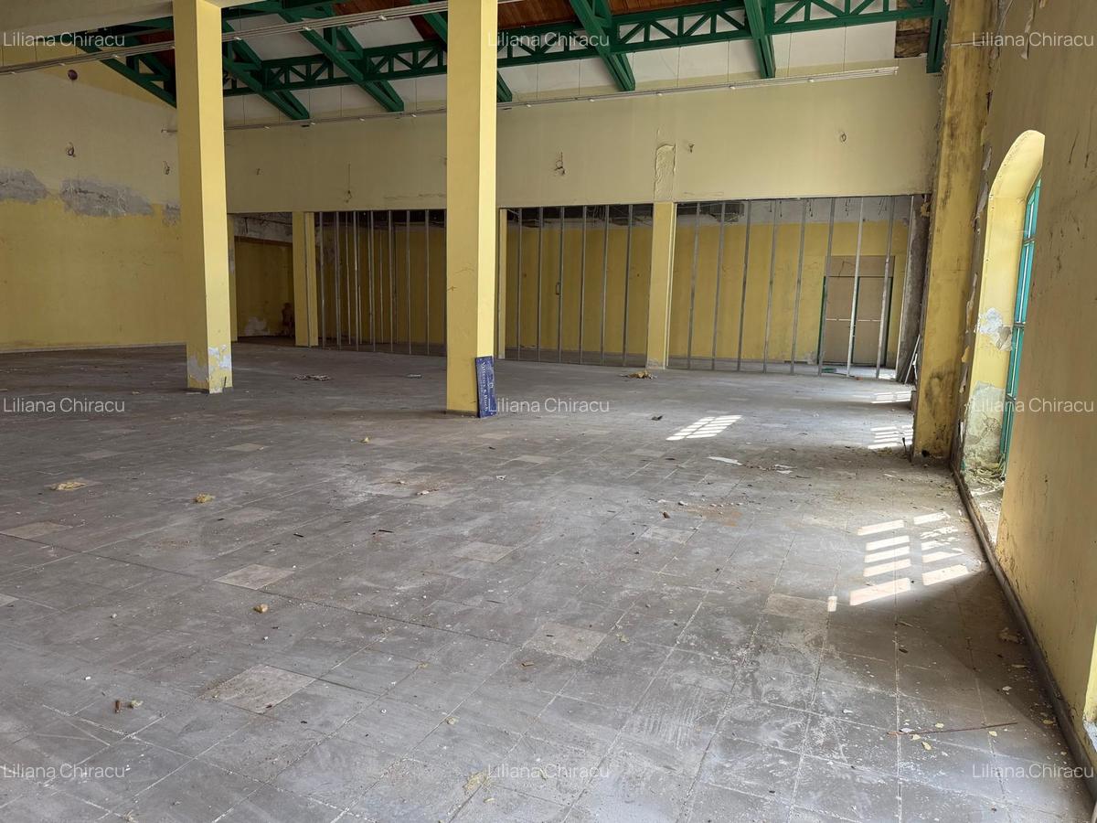 PROPRIETATE UNICA IN BUCURESTI - 5660 MP, TEREN 4736 MP - "VIILOR" - 6