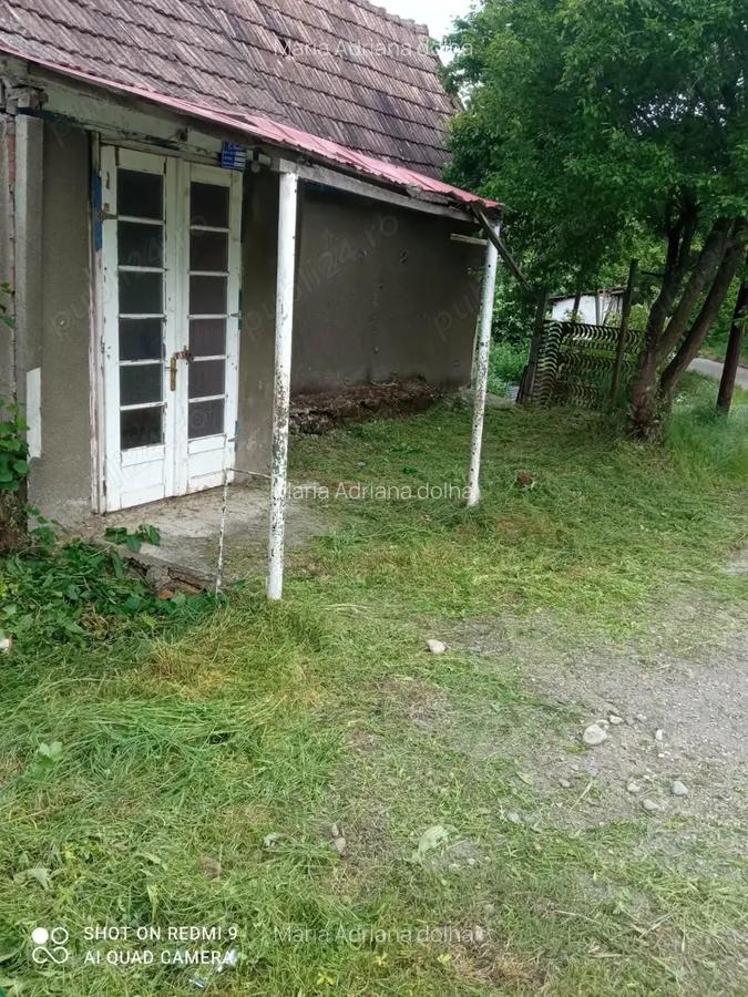 2 case de vinzare IN BOIAN - 4