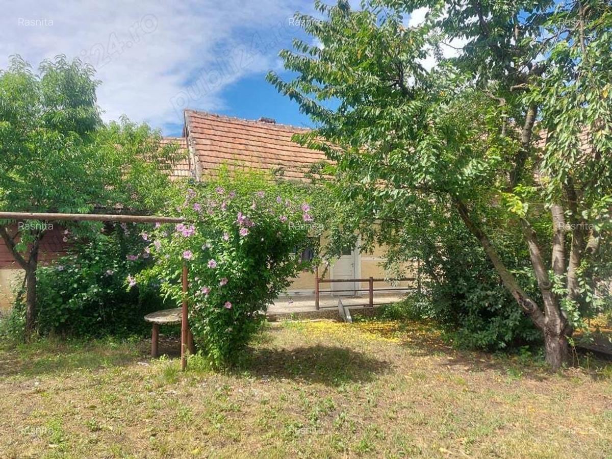 Casa cu gradina in Blaj - 9