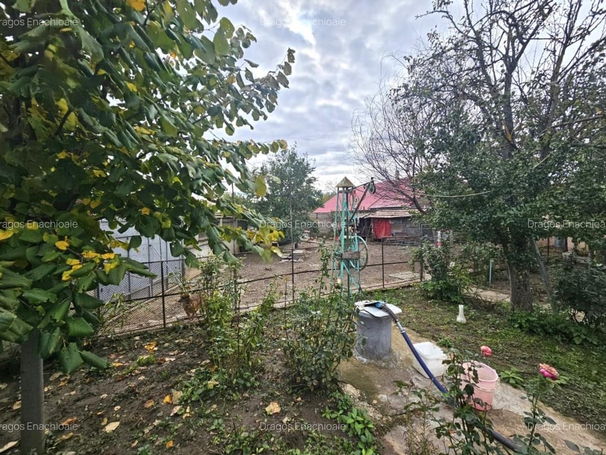 Teren de vanzare 1000mp in Stefanestii de Jos, la sosea si cu utilitati - 11