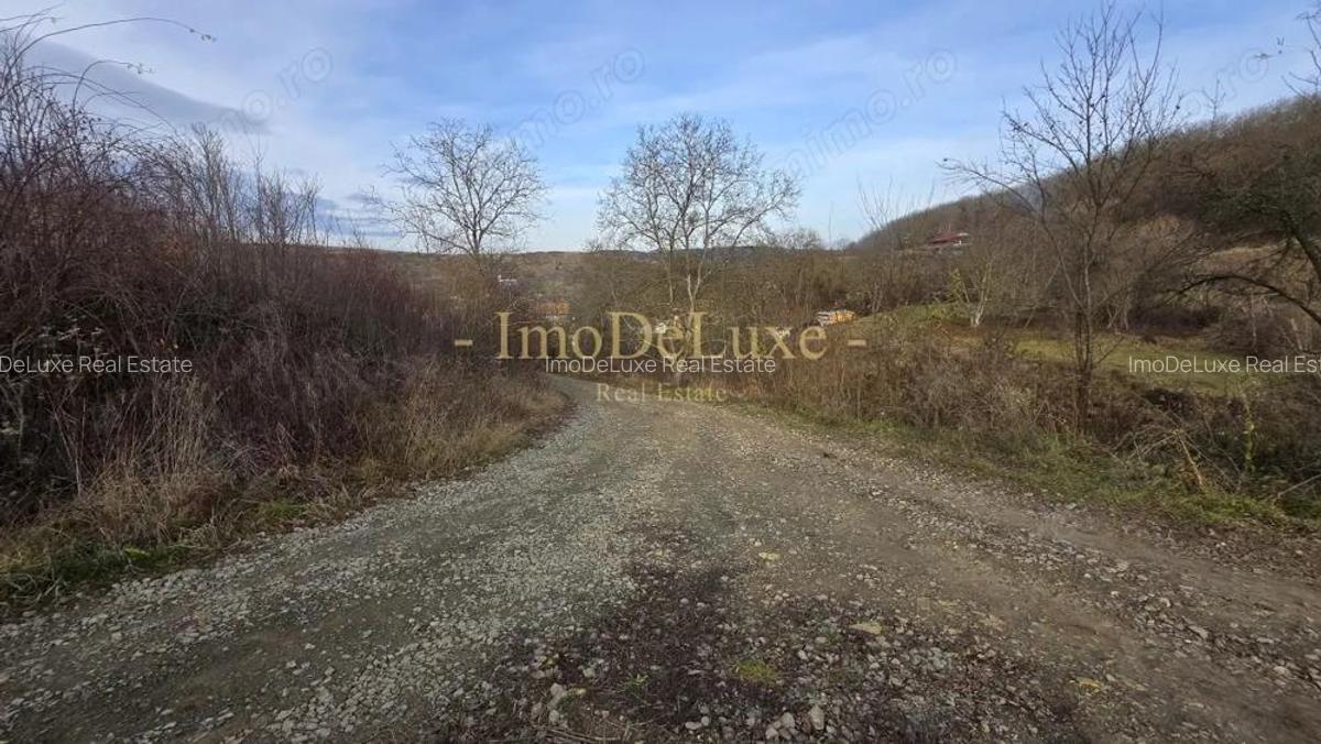 Teren extravilan langa lac, 8500mp, priveliste, acces, utilitati, zona Baciu - 4