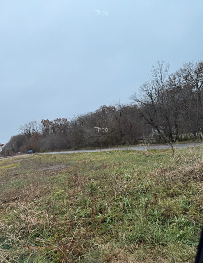 Teren intravilan 736 mp, Ciofliceni – Snagov, acces asfalt, lângă pădure și case - 2