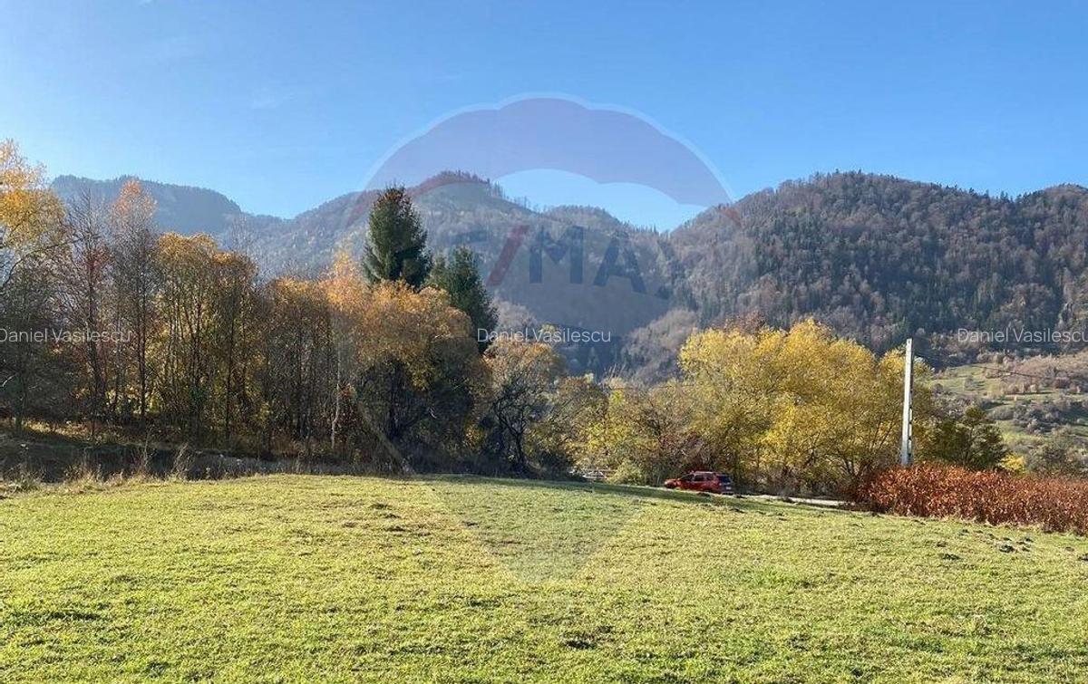 Teren Zarnesti- Tohanita, 4312 mp, deschidere generoasa d... - 1