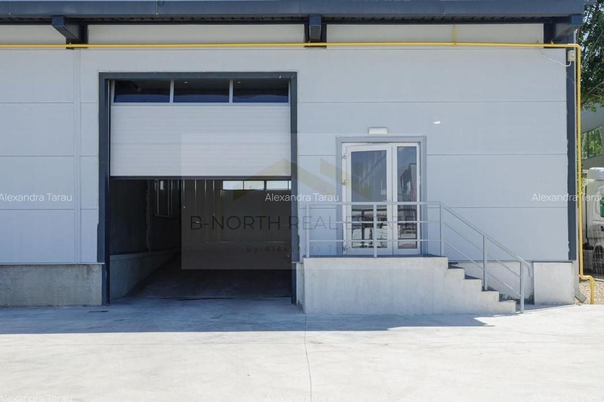 Hala industrială 2.000 mp • Depozitare / Producție • Rampe încărcare • Otopeni - 4