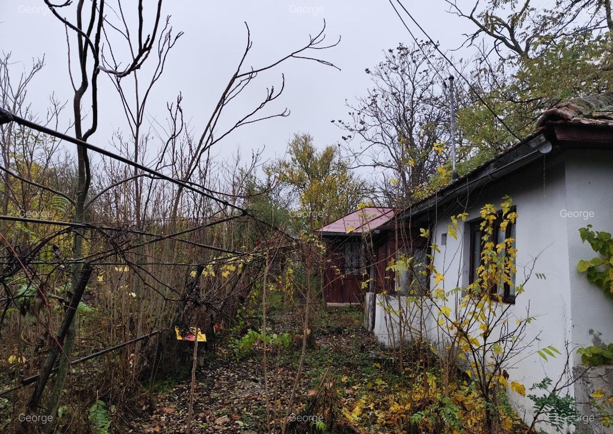Casa batraneasca plus teren 1600mp Toporu jud. Giurgiu - 9