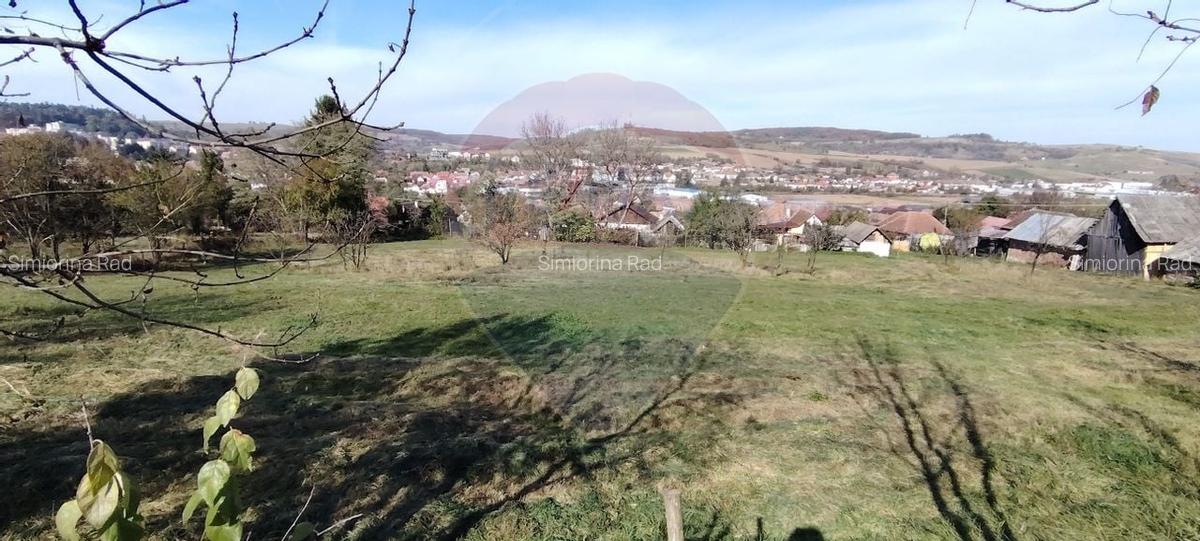 Teren intravilan de vanzare 3,798mp Str.Floreasca - Agnita - 2