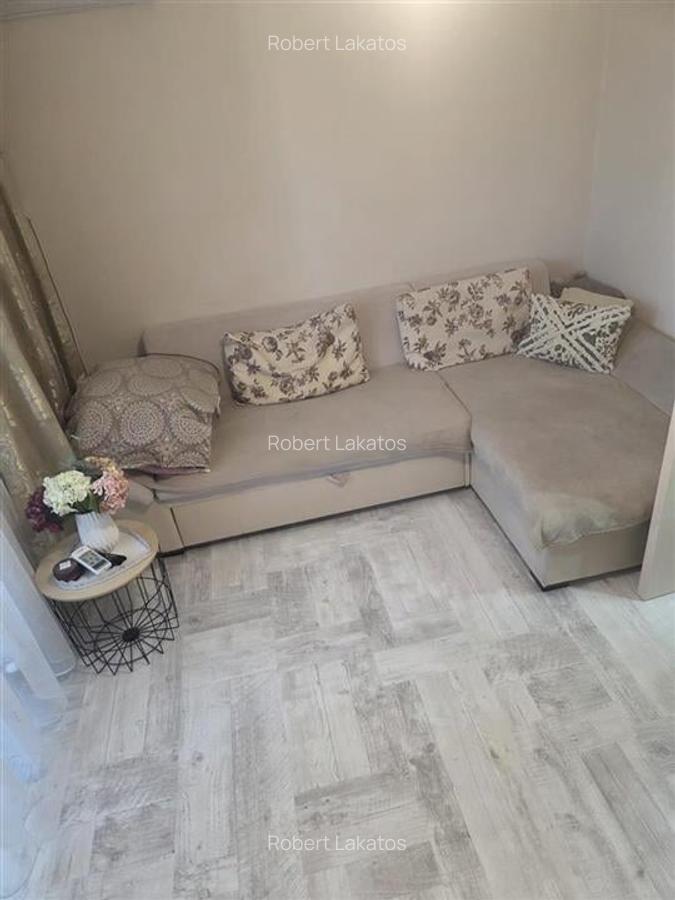 Apartament modern 2 camere Nufarul - 5