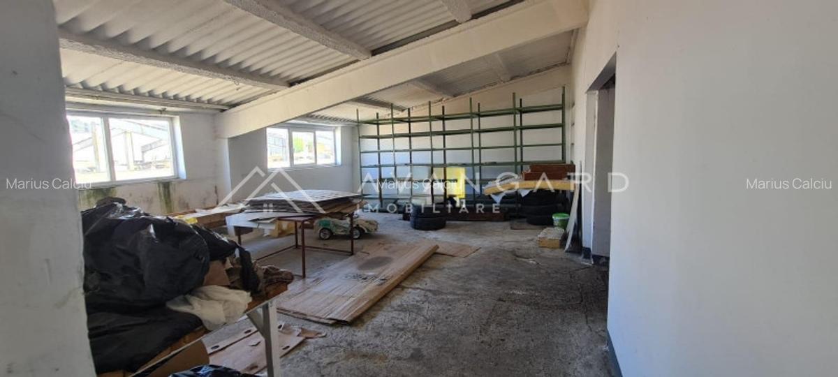 Spatiu Industrial/Hala | 1060 mp utili | Oiejdea (Alba) - 6