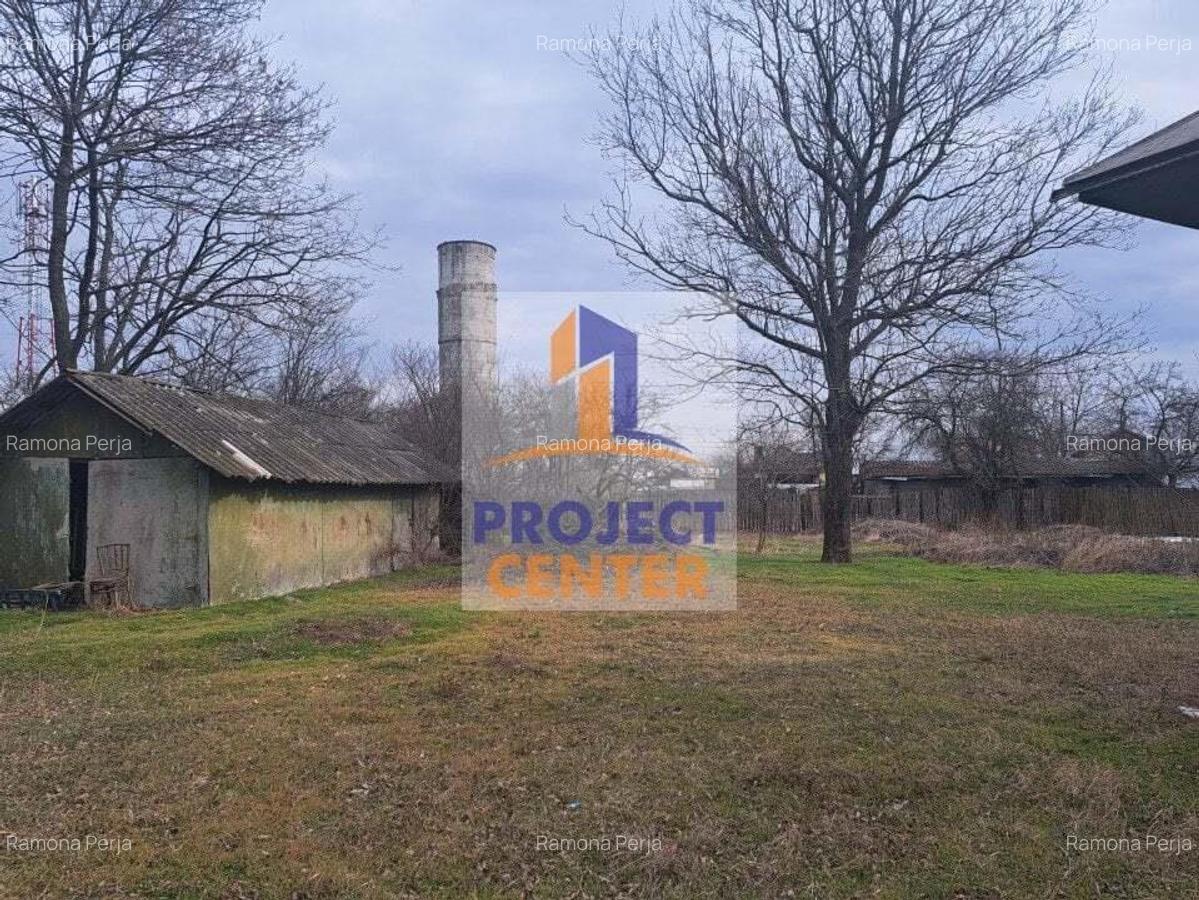 Gospodarie taraneasca in Rociu, Arges - 2
