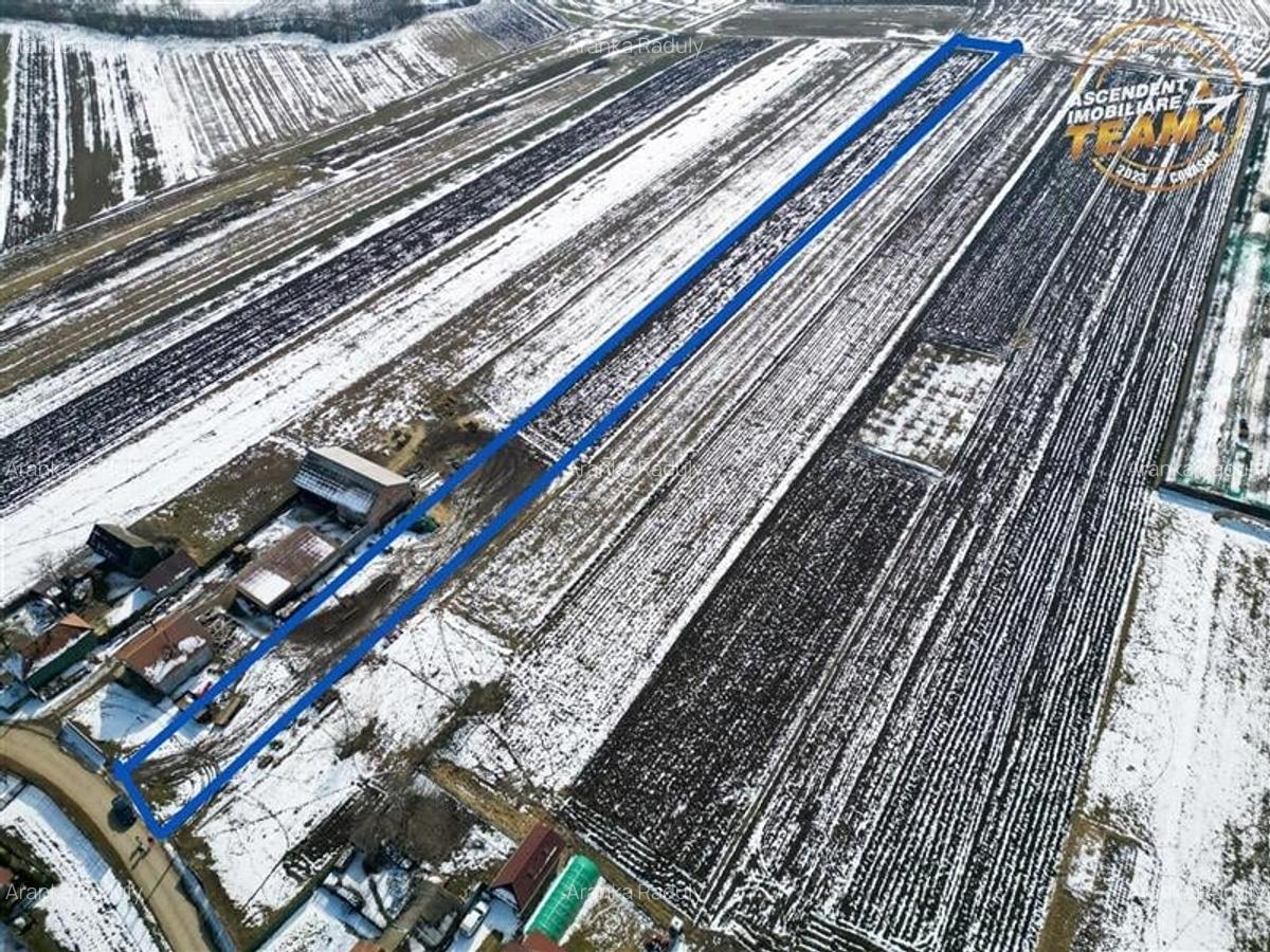 Lot construibil 6.425 mp,Dobolii de Jos, oportun:proiecte rezidentiale amplasame - 4