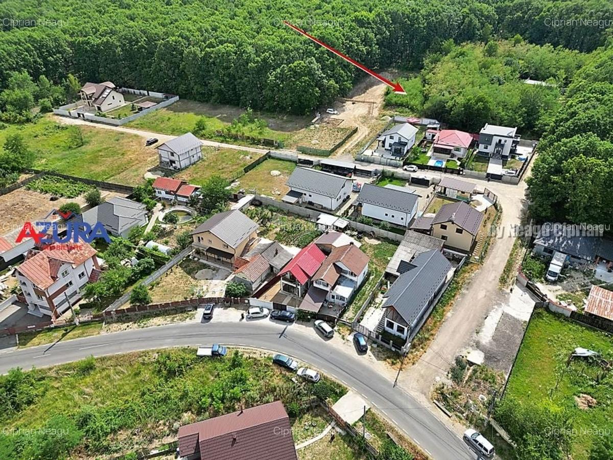 AZURA Imobiliare - Vanzare teren Hintesti, langa padure, 300m din DN - 20