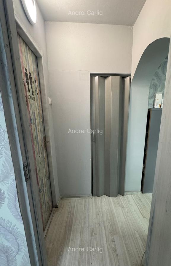 Spatiu comercial Podu Ros - 2