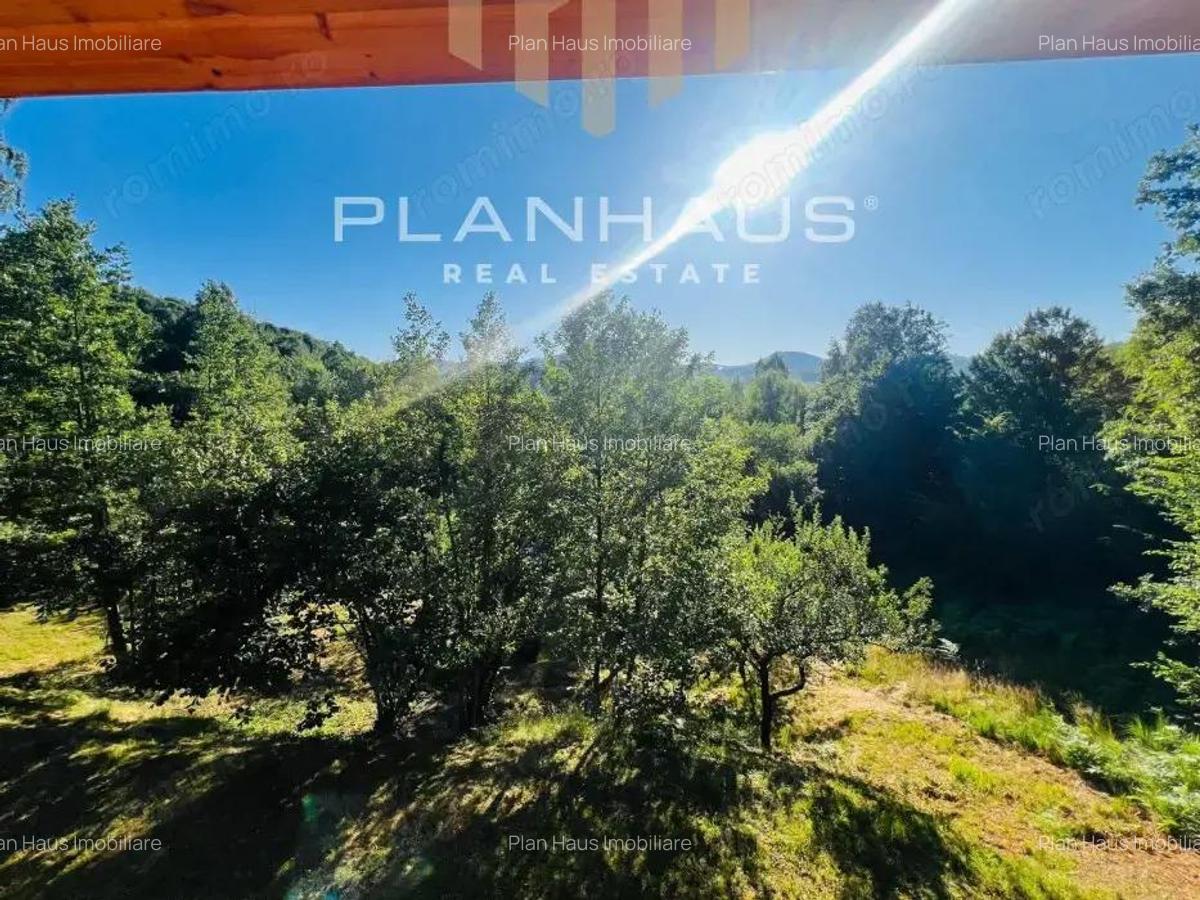 Oportunitate! Cabana de vis la Firiza 5 dormitoare, living spa?ios ?i teren generos de 4700 mp! - 12