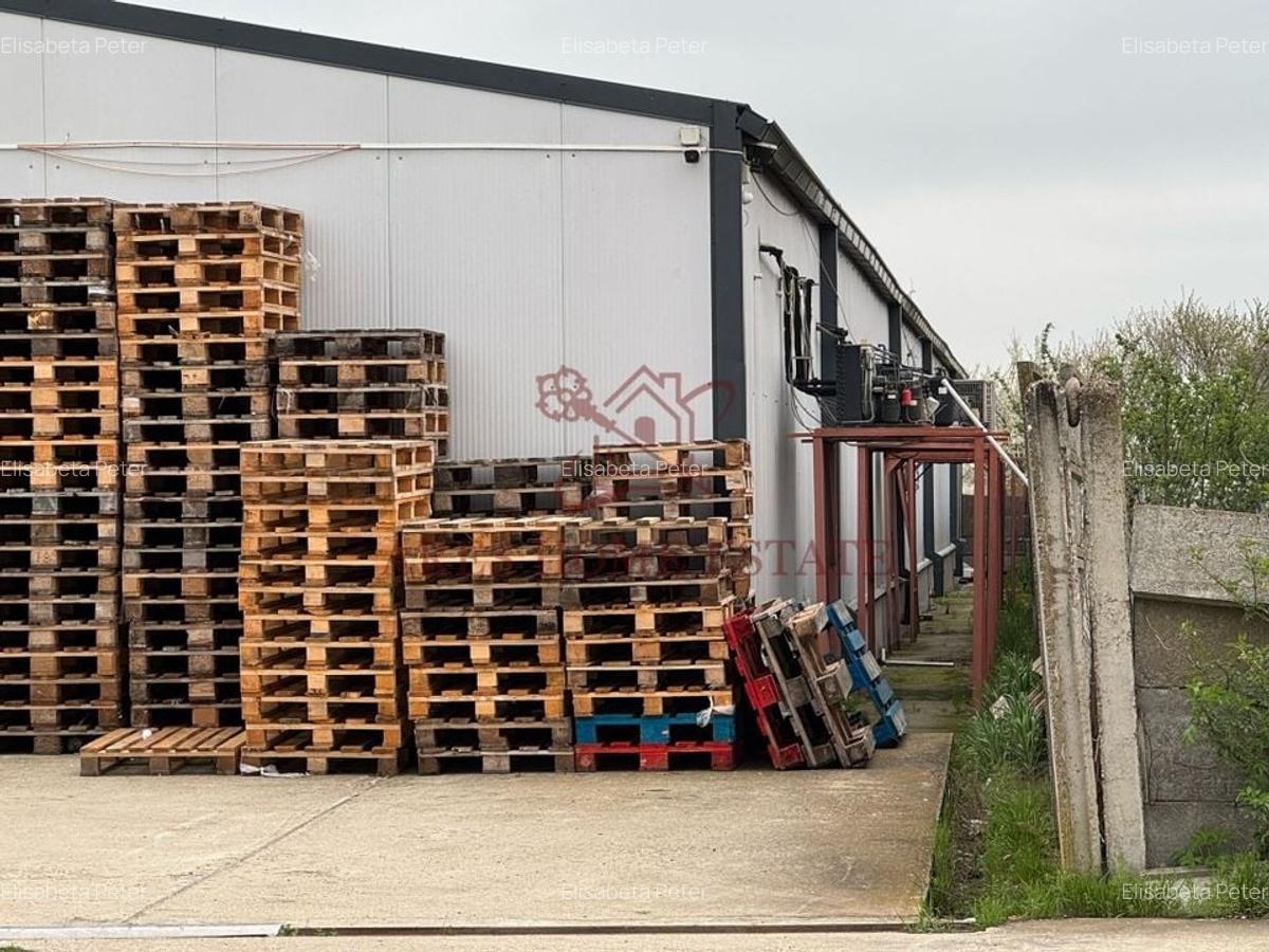 Spațiu industrial, 1200 mp în Bucovăț (Remetea Mare) - 13