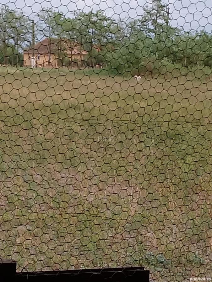 Vand casa in Obad - 4