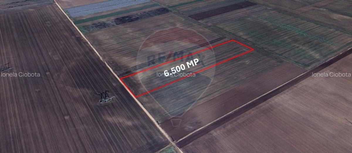 Teren extravilan de vanzare - 6.500 mp, Harman,  Brasov - 1