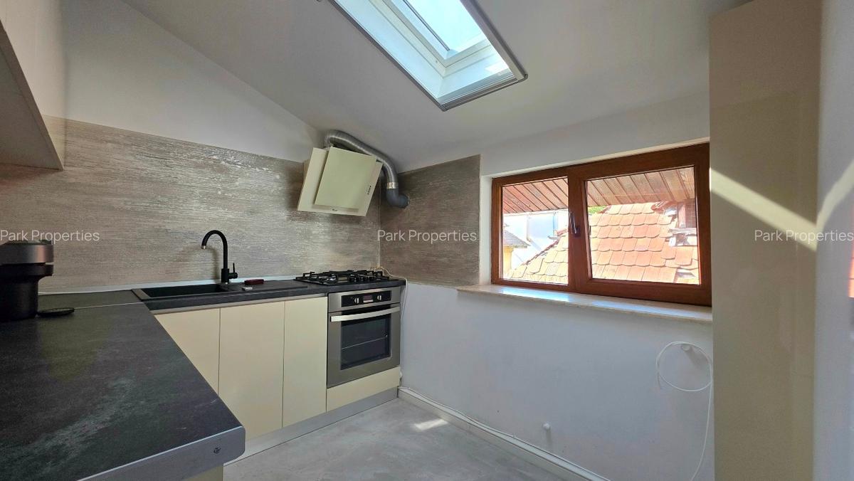 DOROBANTI - TELEVIZIUNE: ETAJ DE VILA ISTORICA RESTAURATA, 110 MP, PENTRU BIROU - 9