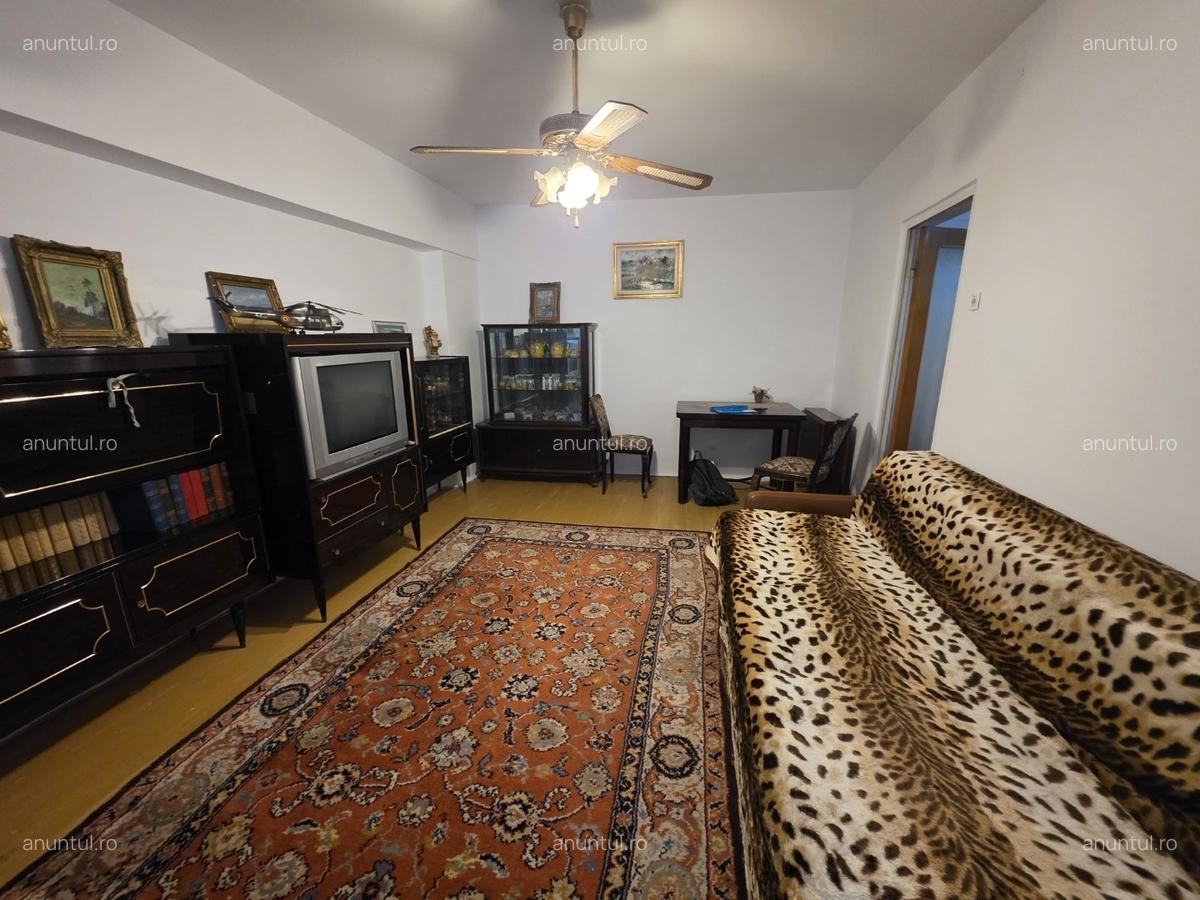 Titan, 10 minute metrou, chiar la intrarea in parcul IOR, pe Lotrioara - 13