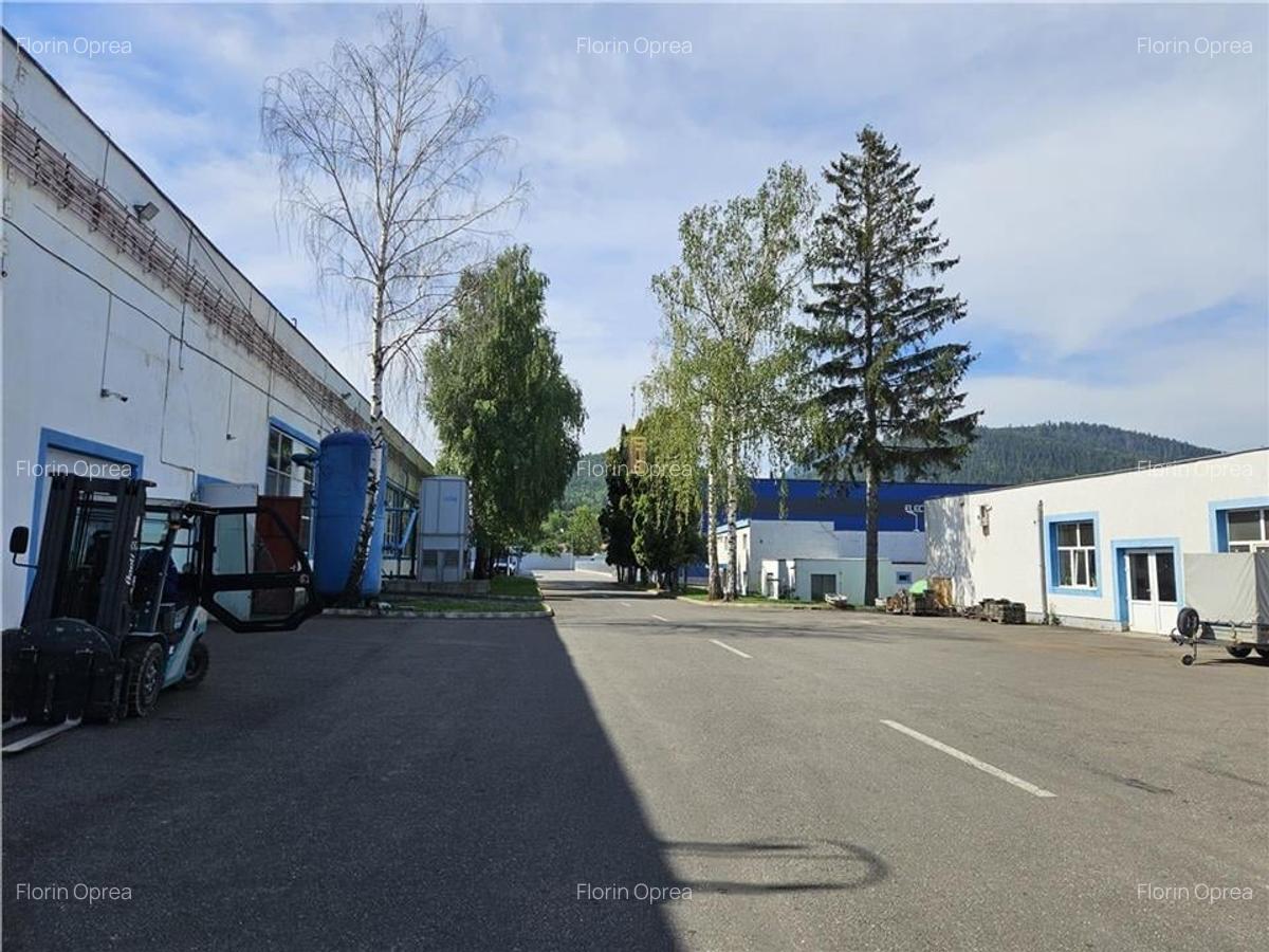 Spatiu Industrial - 1600 mp - Productie - Depozitare - 11