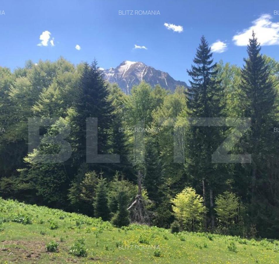 De vanzare, teren intravilan 5.500mp, Predeal - 14