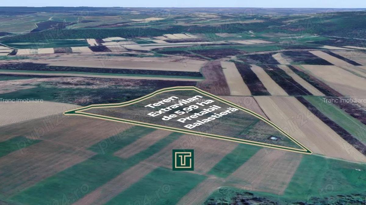 Teren extravilan de 5,99 ha la 200 m de Mure?, ideal pentru balastiera in Ususau - 4