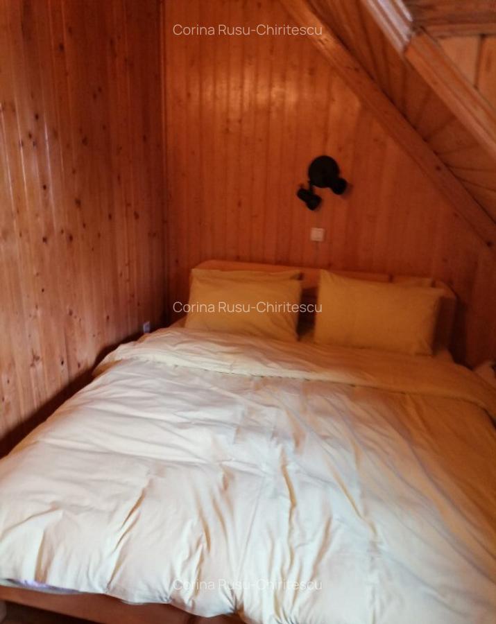 Cabana vacanta 4 dormitoare Azuga, Prahova - 11