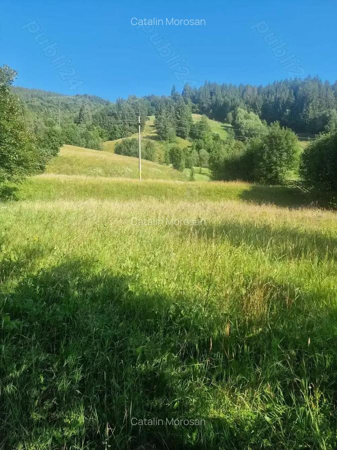 Teren intravilan 6527 mp Stulpicani - Bucovina - 4