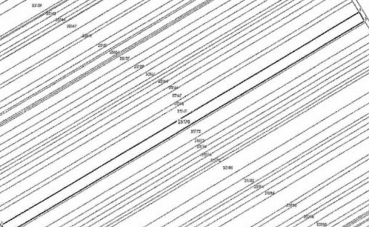 Teren extravilan Smardioasa, cota 1/6, ID: R2688427 - 4