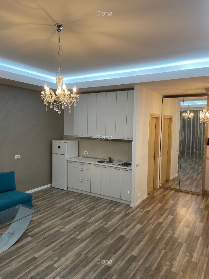 Garsoniera Herastrau North Lake - 14