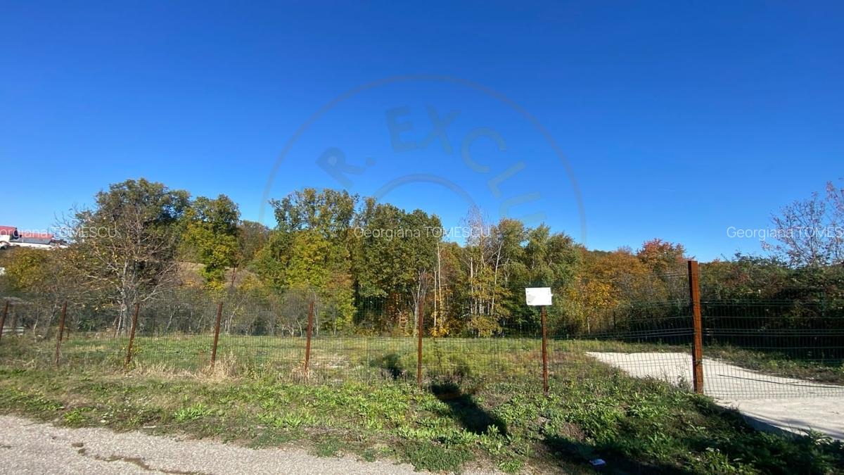 Teren 969 mp intravilan la 10km de Pitesti, langa padure. - 2