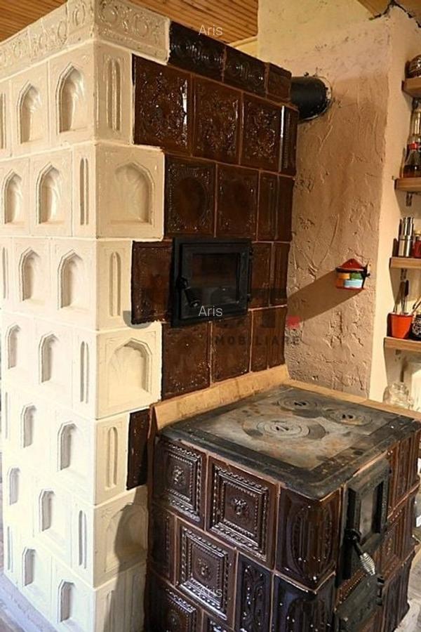 Problema e orașul. Soluția: un pârâu în curtea ta. Rasca/Valea Fericirii - 6