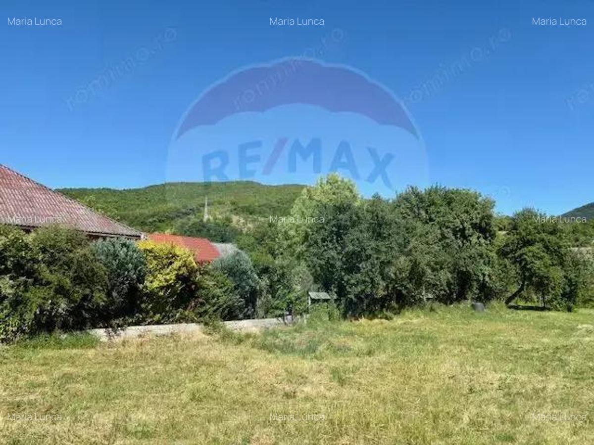 Teren 3,154mp Barsana / Intrarea principala - 6