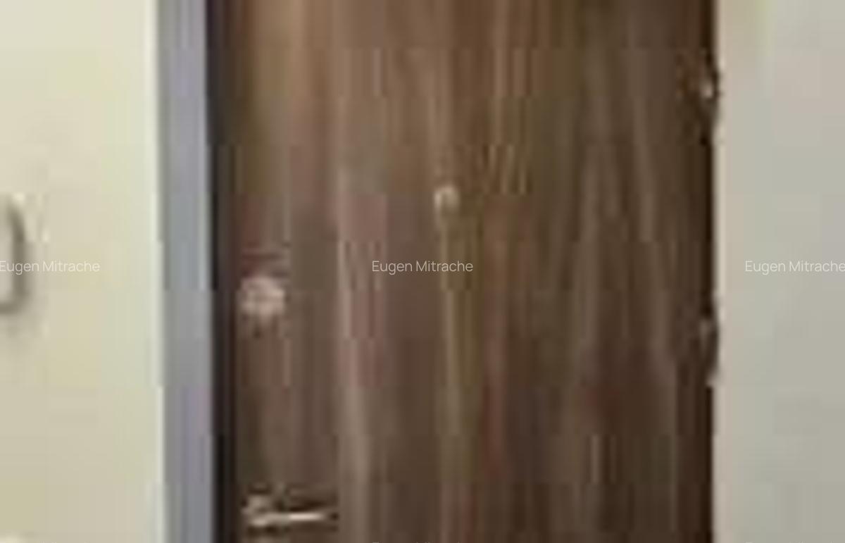 Apartament superb cu 2 camere, situat intr-un bloc reziden?ial nou,2021 - 4