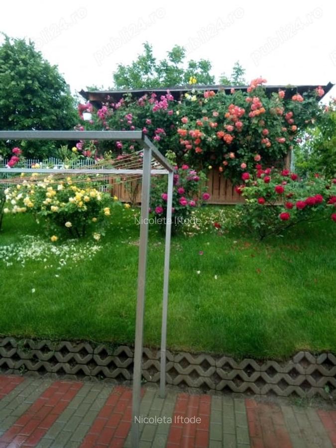 Casa Parter, 127 mp utili, cu 500 mp teren Rediu - 4