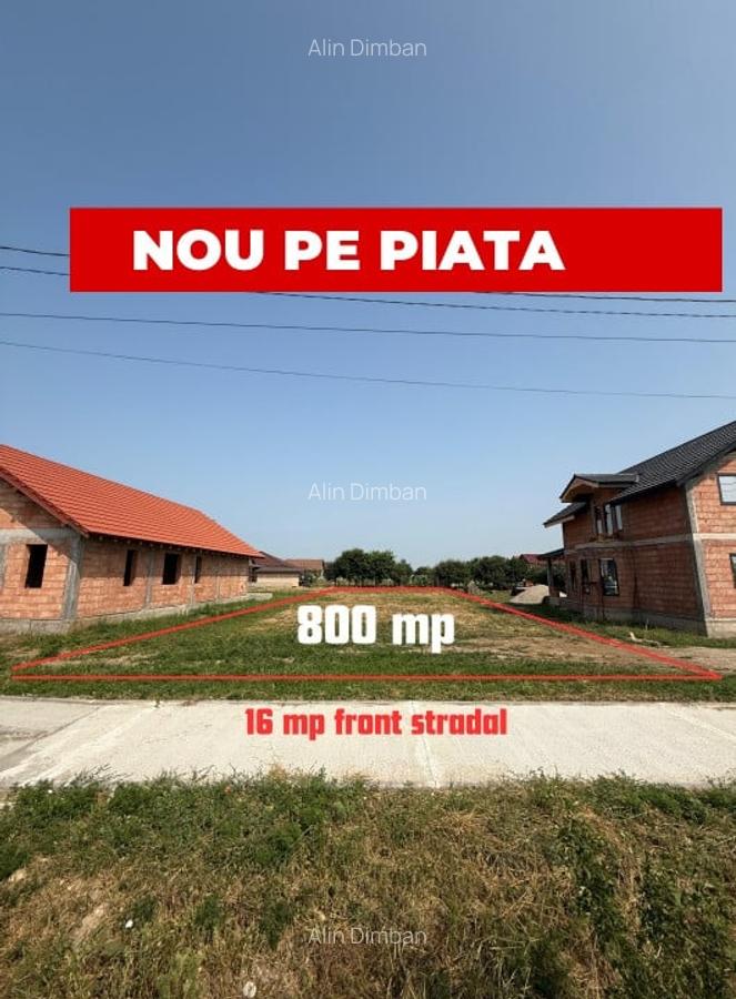 Inchiriem viitorul pe metru patrat, teren 800 mp, intravilan-Peciu Nou - 1