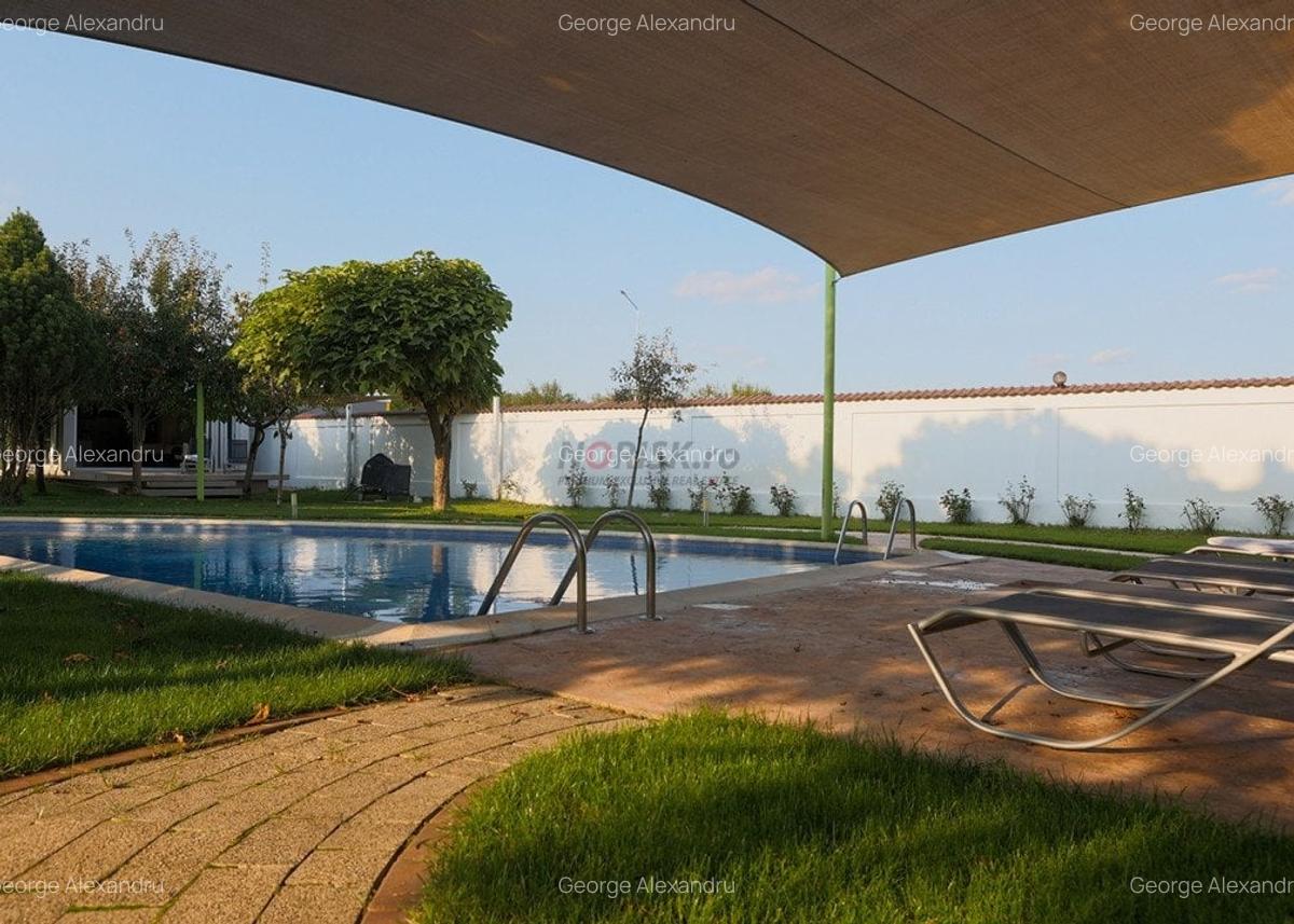 Vila Exclusivista Tartasesti - Mogosoaia - 4