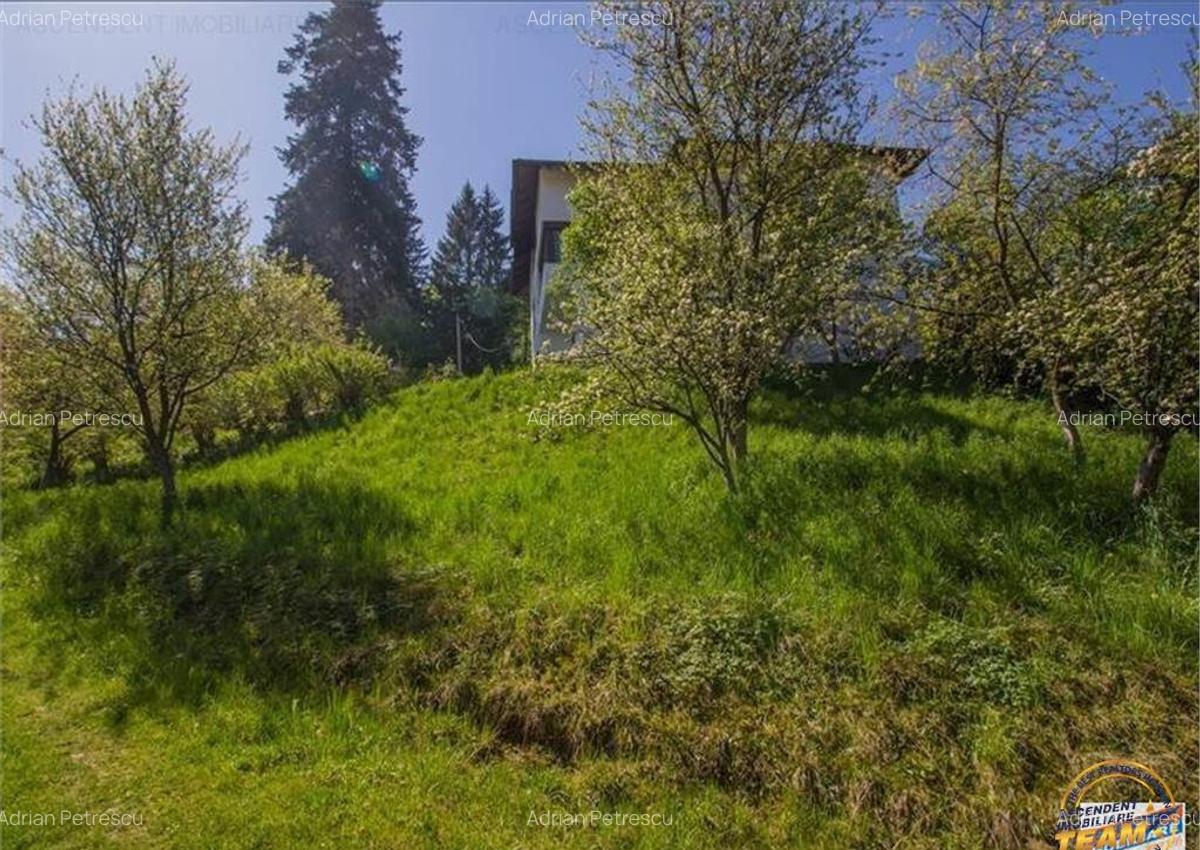 Resedinta distinctiva, pe domeniu de 2.200mp,cadru exclusivi - 6