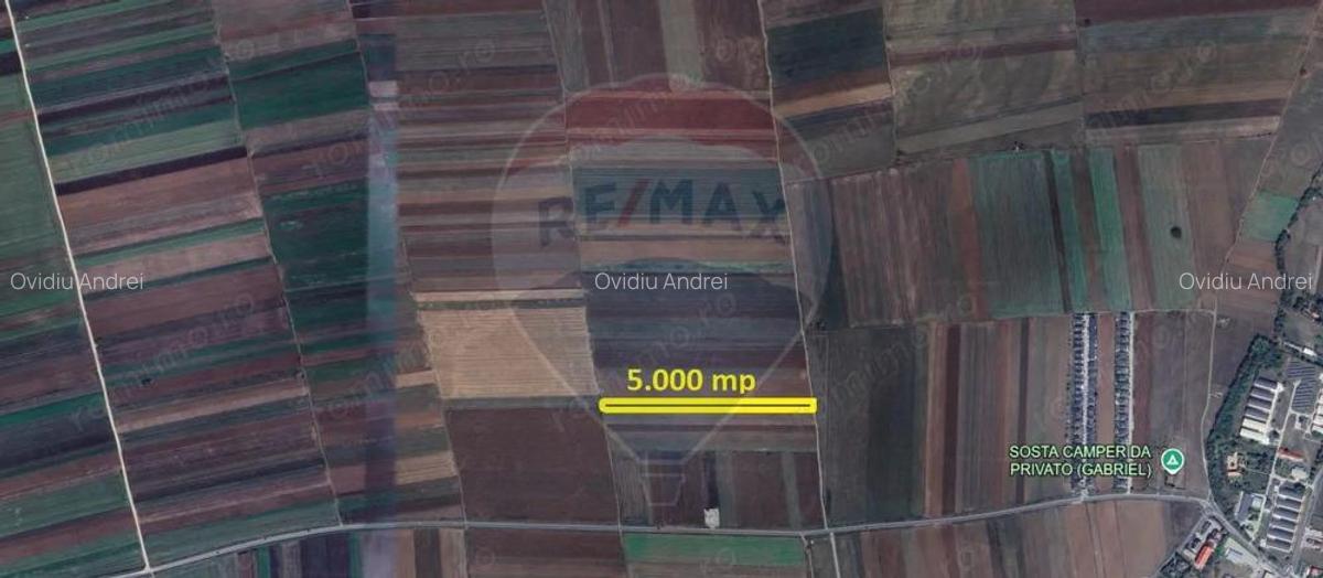 Teren Extravilan 5.000 mp Tarlungeni / Strada Zizinului - 5