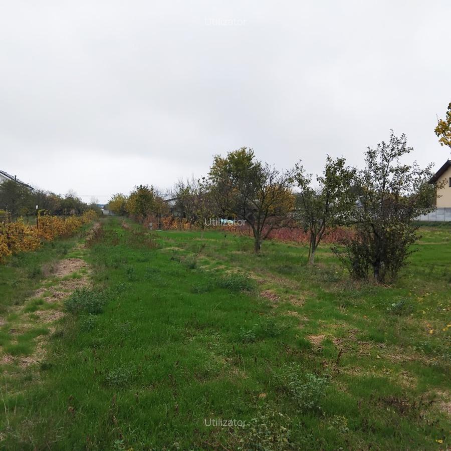 Locuinta Duplex cu Teren 3.617 Mp, Dublă Deschidere – Locuință + Investiție– Com - 9