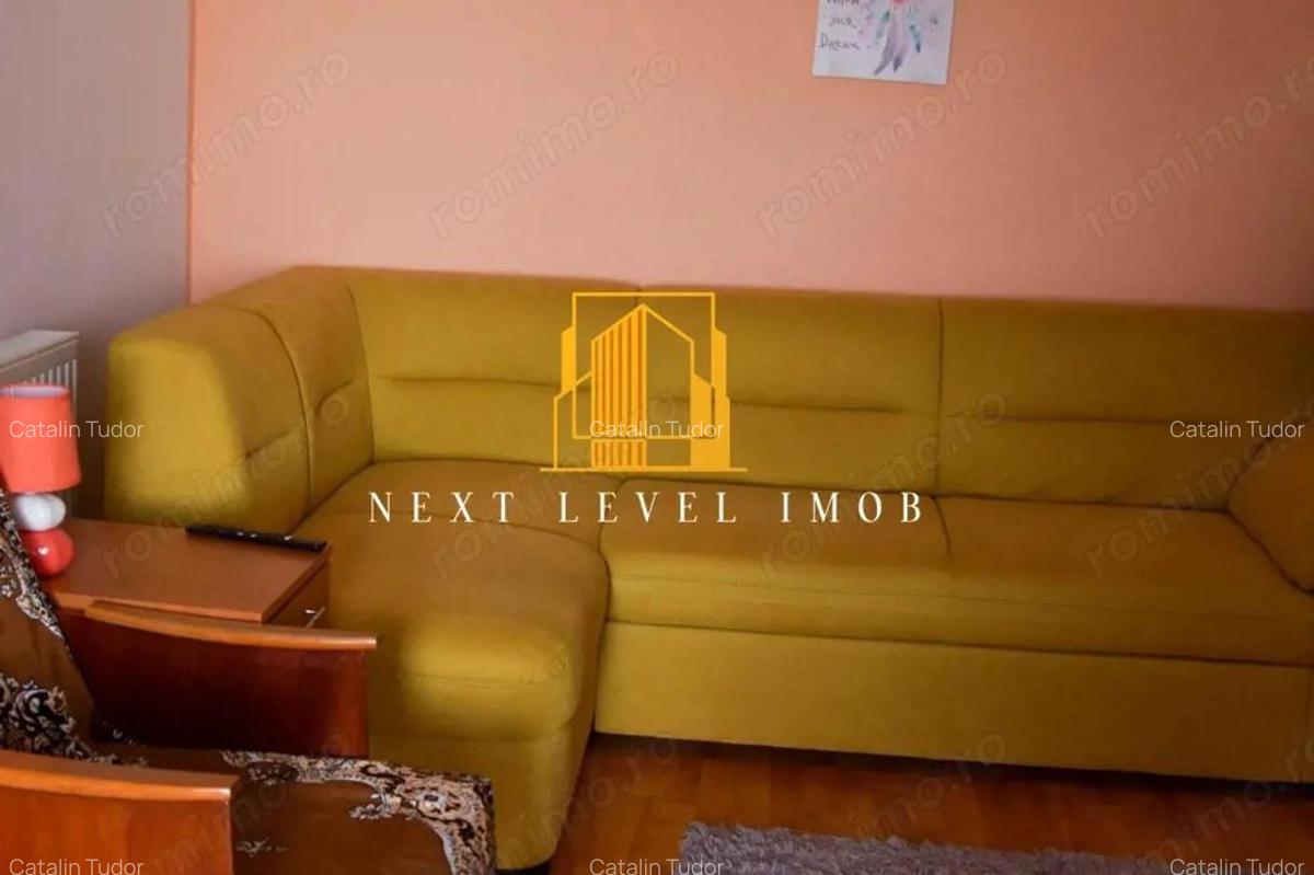 Doua case in aceea?i curte - BASCOV - 11