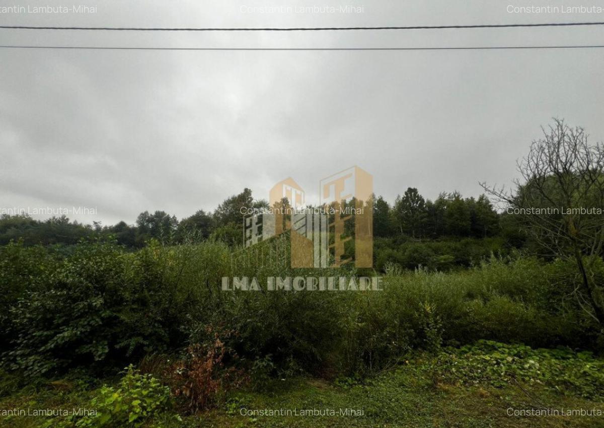 Teren intravilan Sinca Noua - 12