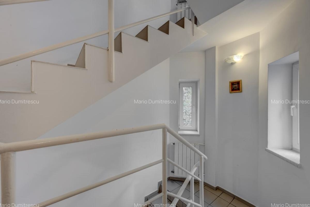 Vila de vanzare Domenii-Ion Mihalache - 12