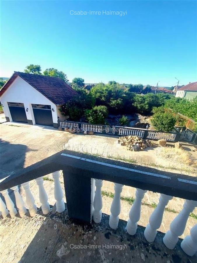 Casa cu 2 etaje si hala mare in Ineu de Cris - 12