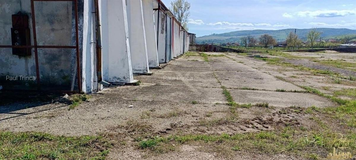 Complex Industrial cu rampa feroviara de inchiriat in Birtin - Bihor - 5