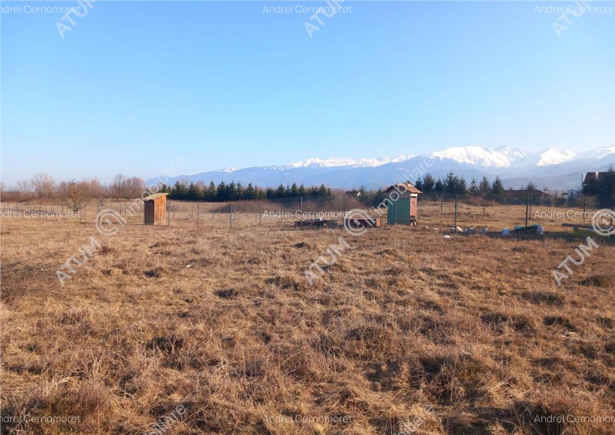 Teren intravilan 7900 mp de pe Valea Avrigului - 4