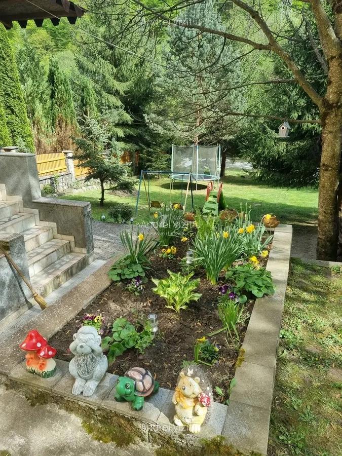 Vila de vanzare in Mun?ii Retezat, pe malul raului - 8