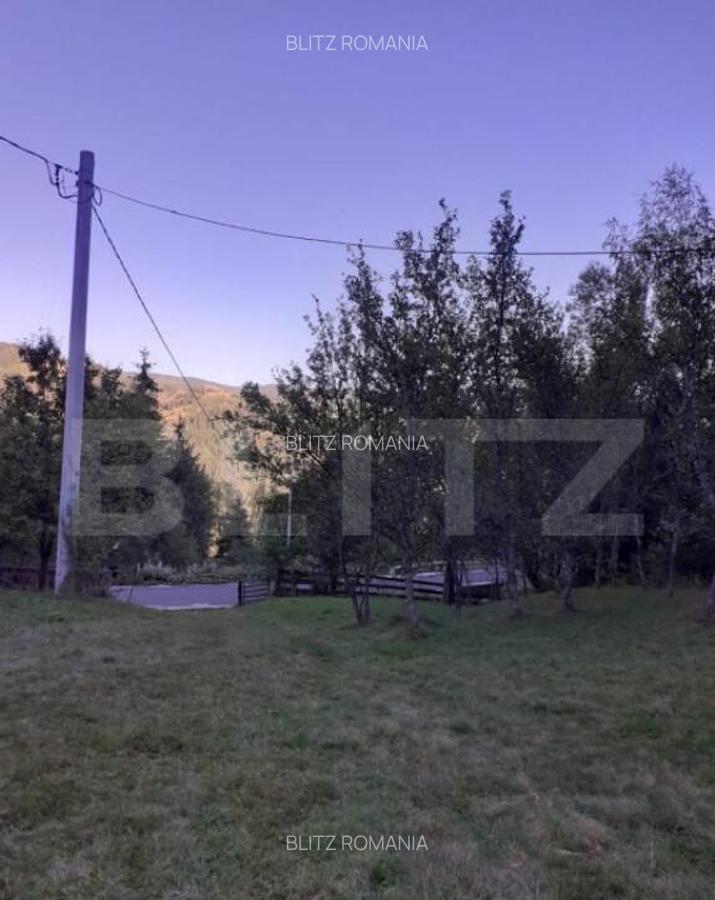Casa la munte, cu teren 13383 mp, zona Horea - Apuseni - 6